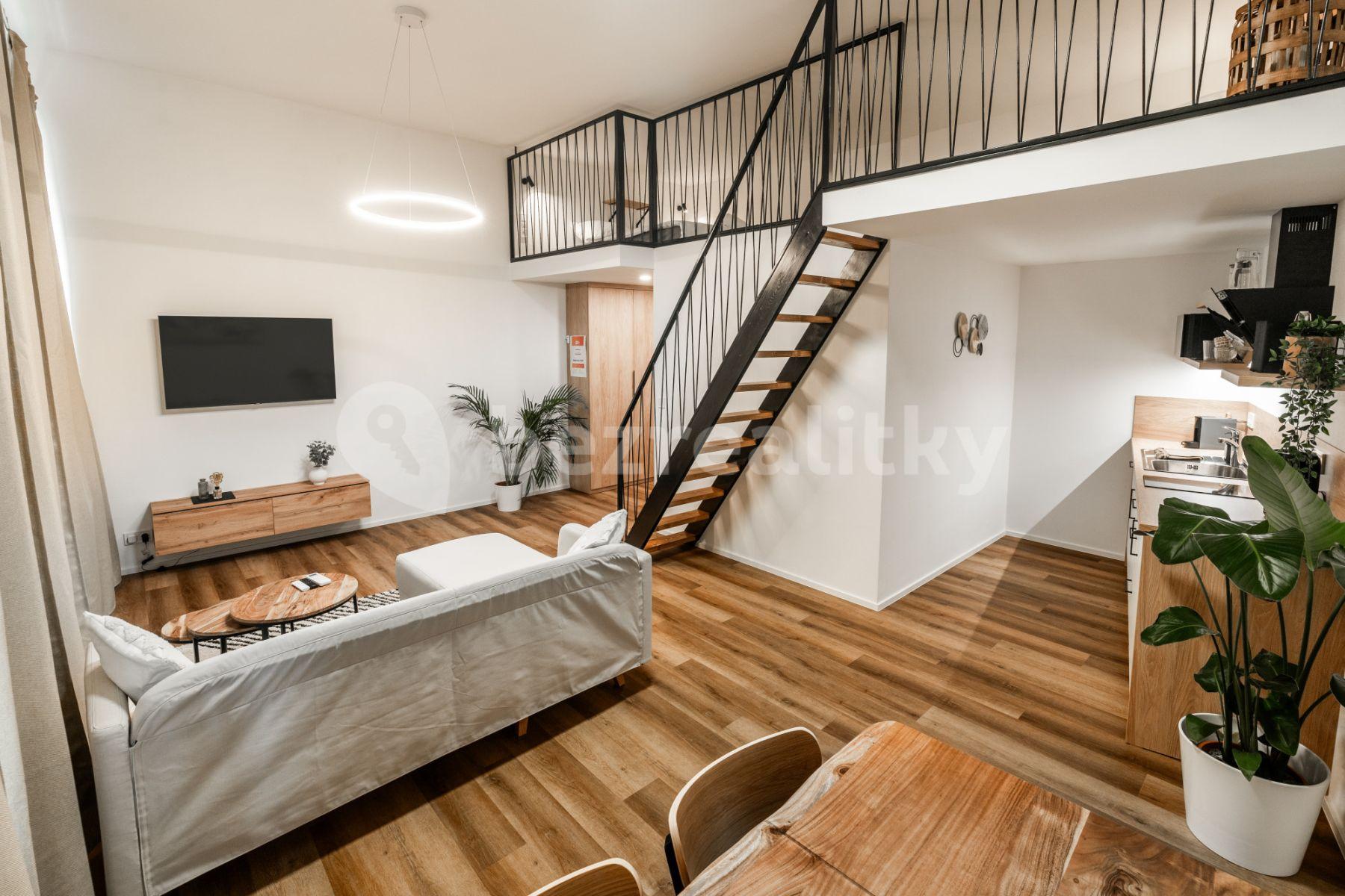 Pronájem bytu 1+kk 46 m², Vlhká, Brno, Jihomoravský kraj