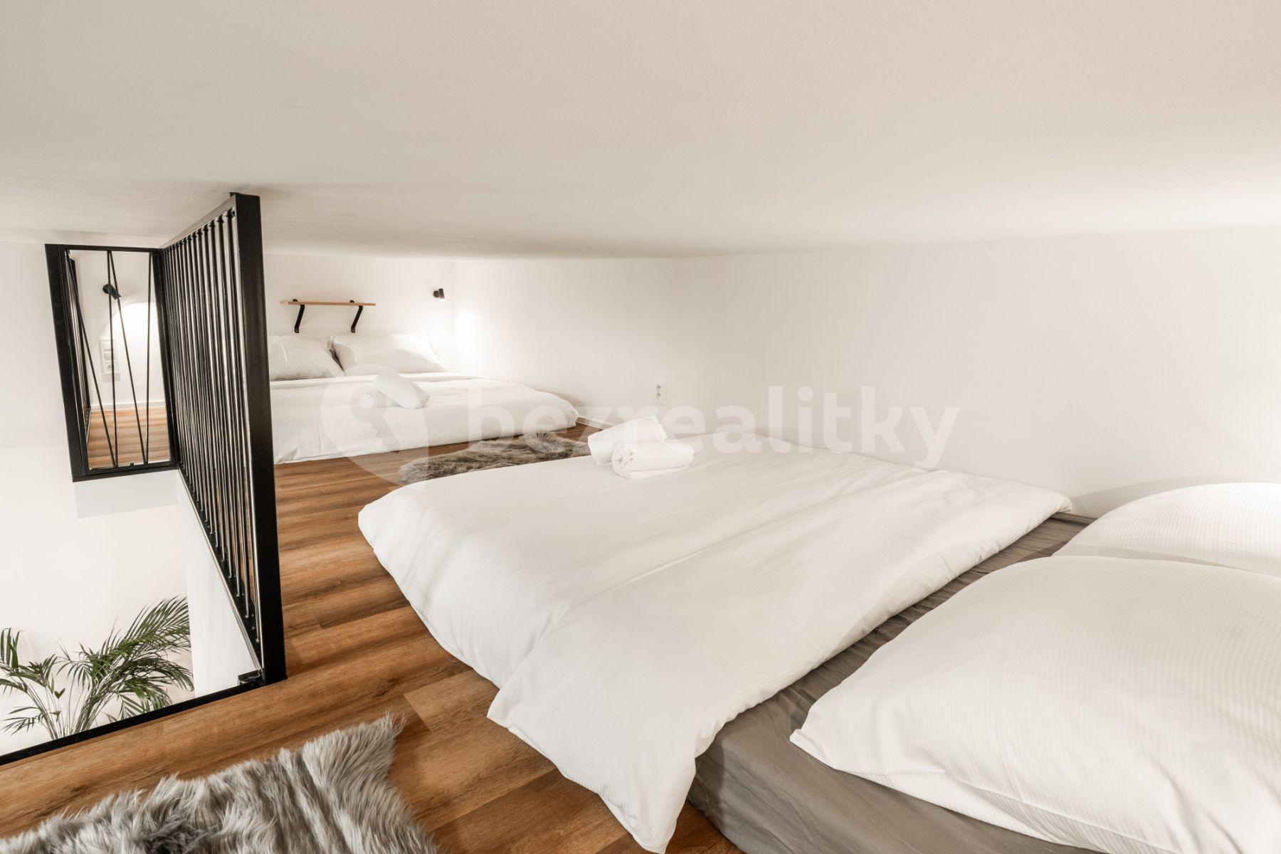 Pronájem bytu 1+kk 46 m², Vlhká, Brno, Jihomoravský kraj