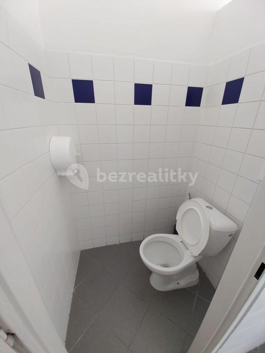 Pronájem kanceláře 147 m², Opletalova, Praha, Praha