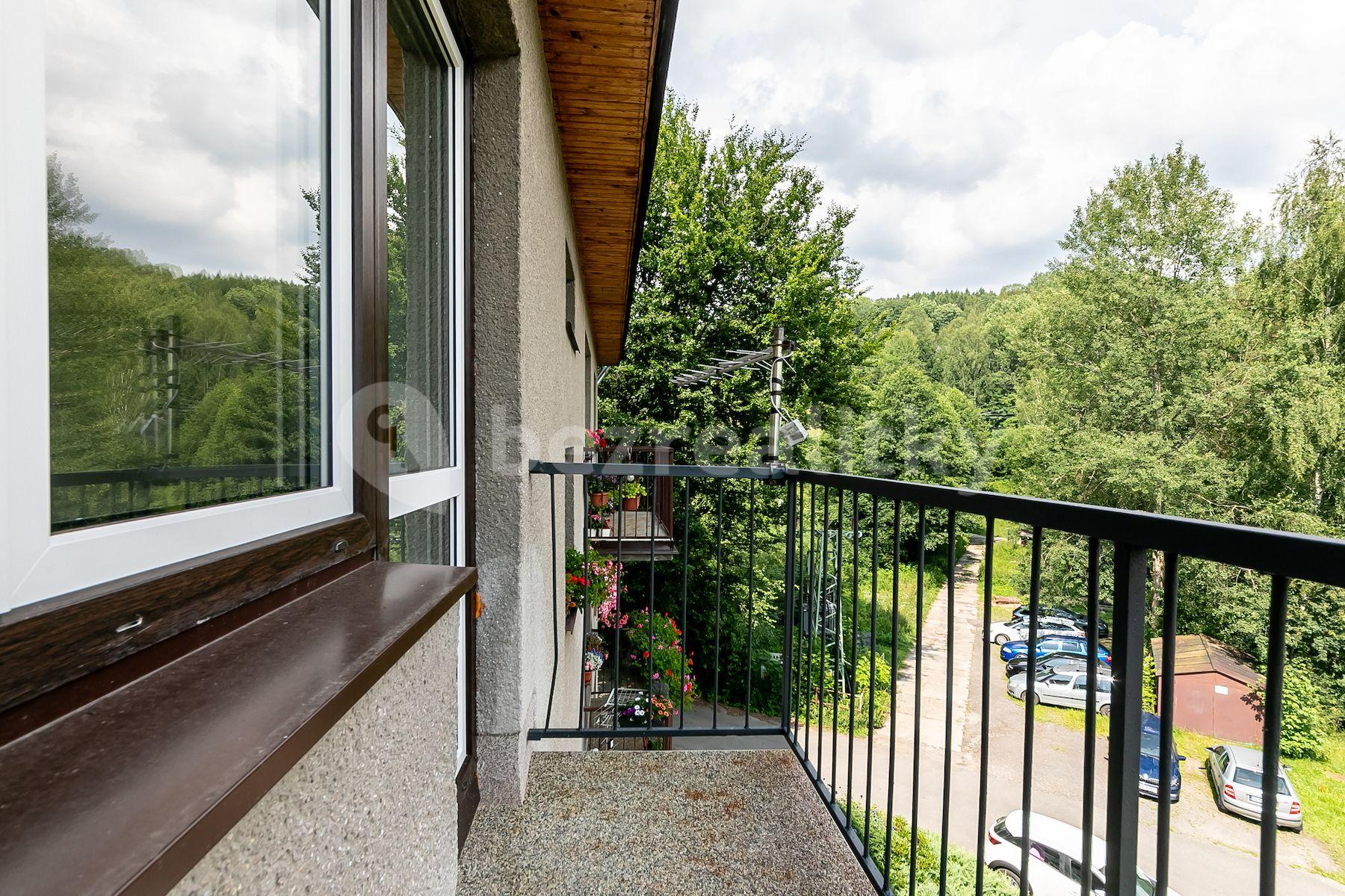 Prodej bytu 3+1 76 m², Navarovská, Zlatá Olešnice, Liberecký kraj