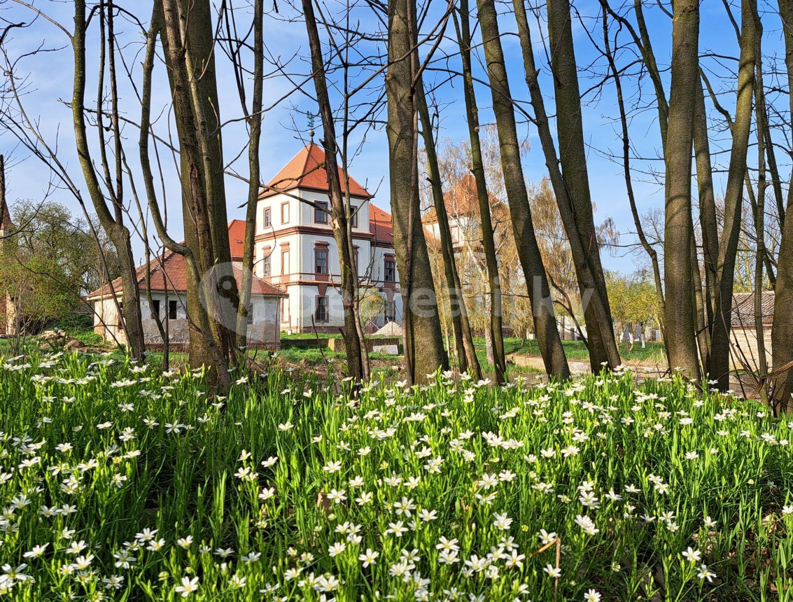 Pronájem bytu 2+kk 45 m², Hořiněves, Královéhradecký kraj