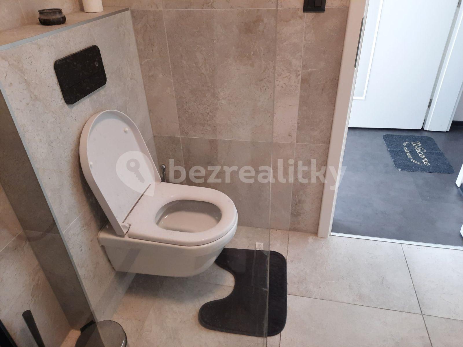 Pronájem bytu 1+1 42 m², Jánská, Brno, Jihomoravský kraj