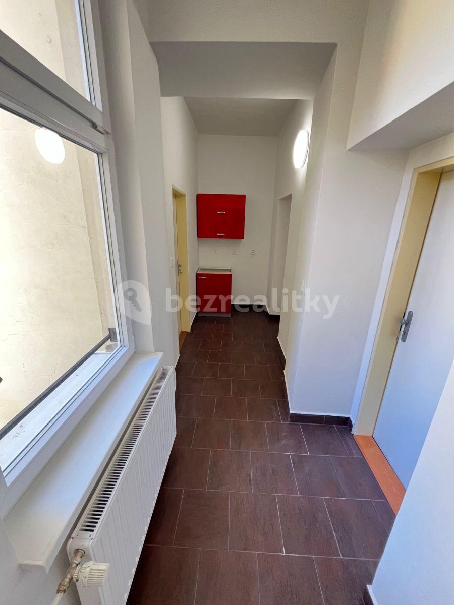 Pronájem bytu Garsoniéra 20 m², Cihelní, Ostrava, Moravskoslezský kraj