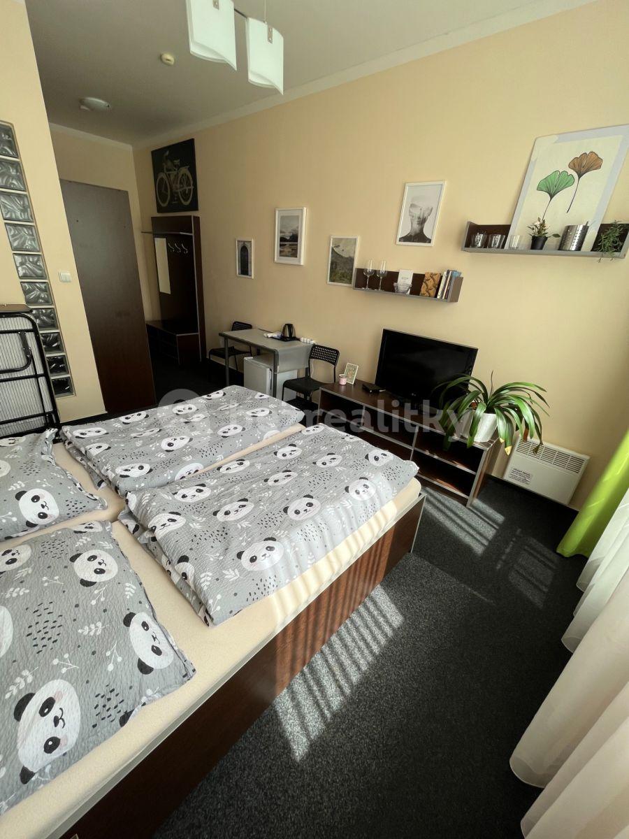 Pronájem bytu 1+kk 23 m², Poznaňská, Sázava, Středočeský kraj