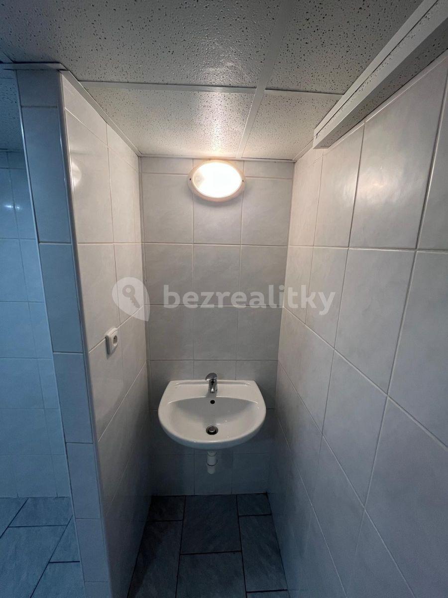 Pronájem nebytového prostoru 15 m², U Hotelu, Praha, Praha