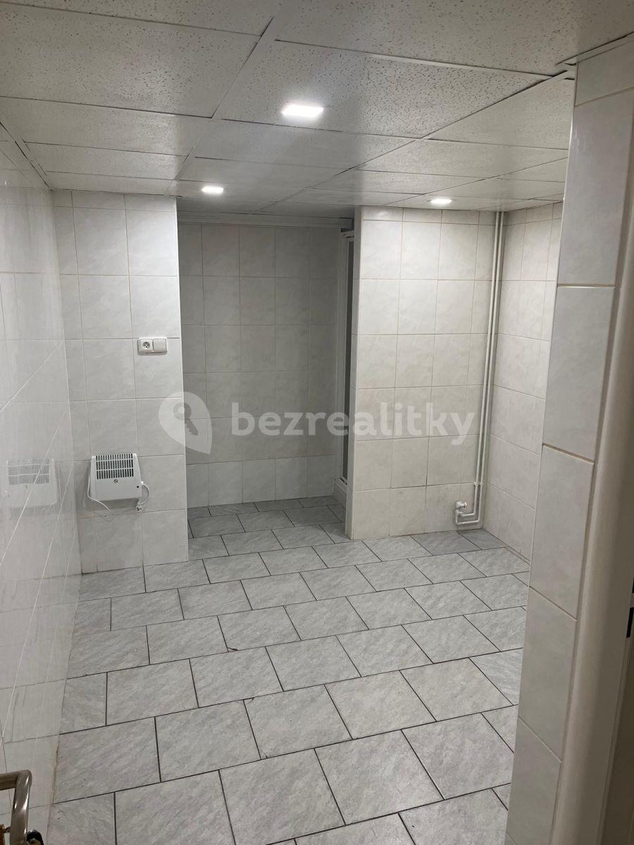 Pronájem nebytového prostoru 15 m², U Hotelu, Praha, Praha