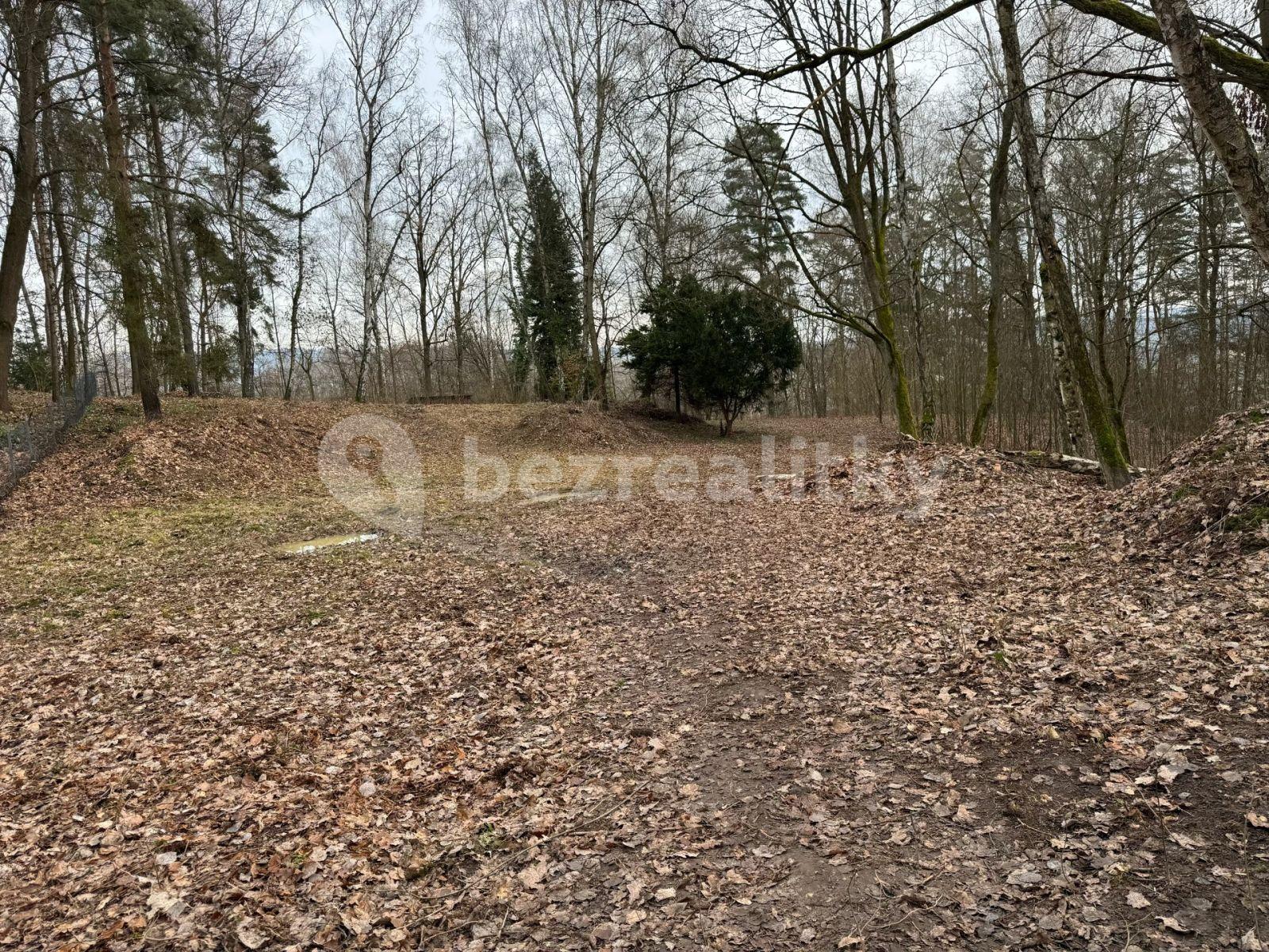 Prodej pozemku 5.519 m², Hrubá Skála, Liberecký kraj