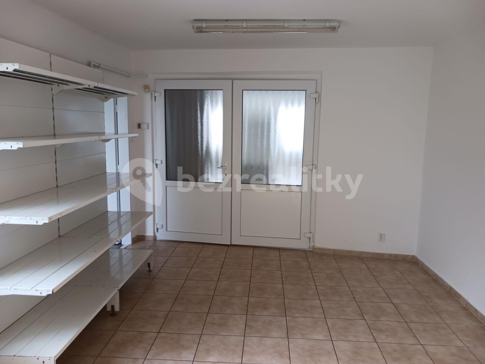 Pronájem nebytového prostoru 125 m², Bohosudovská, Krupka, Ústecký kraj