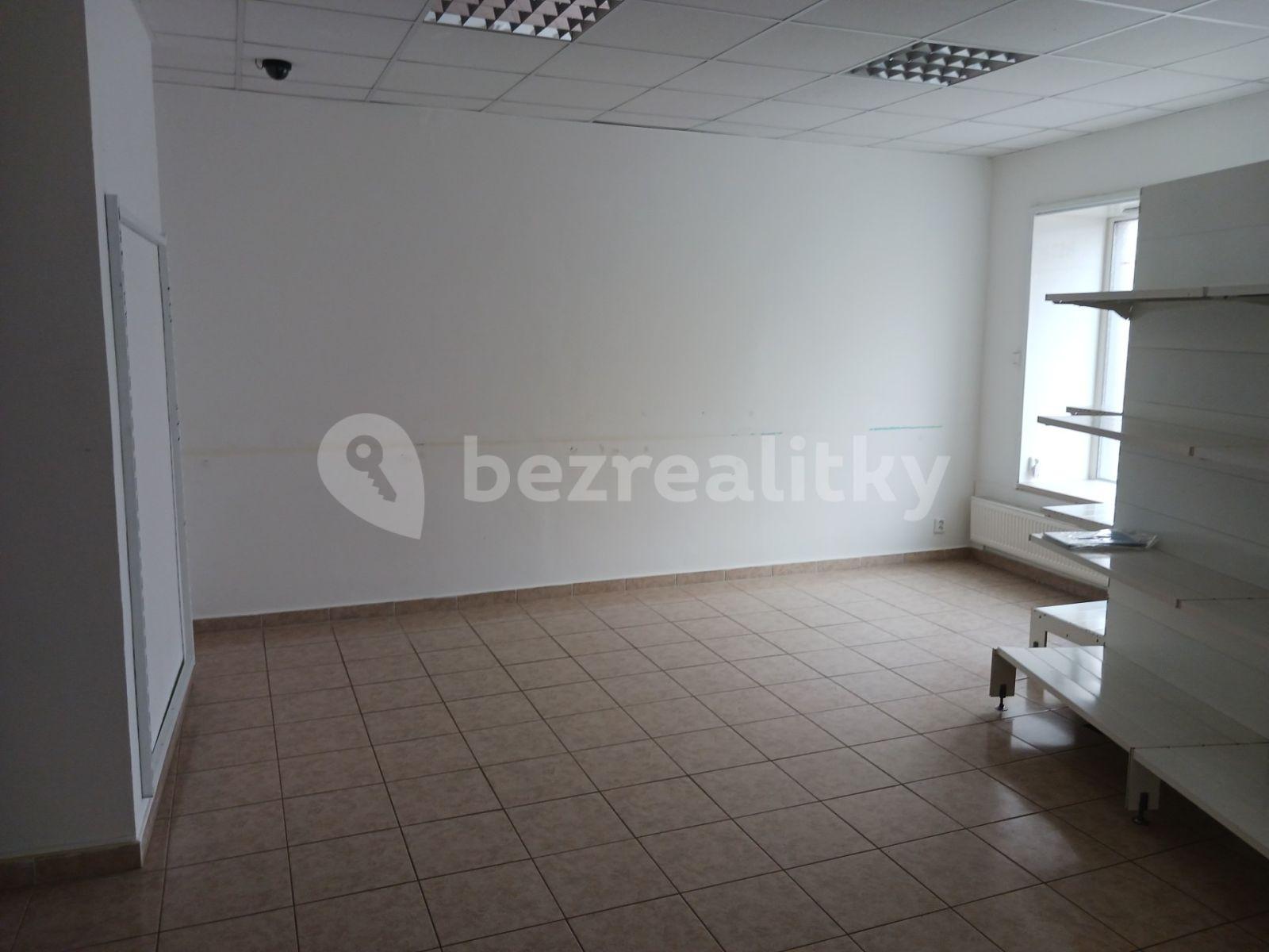 Pronájem nebytového prostoru 125 m², Bohosudovská, Krupka, Ústecký kraj