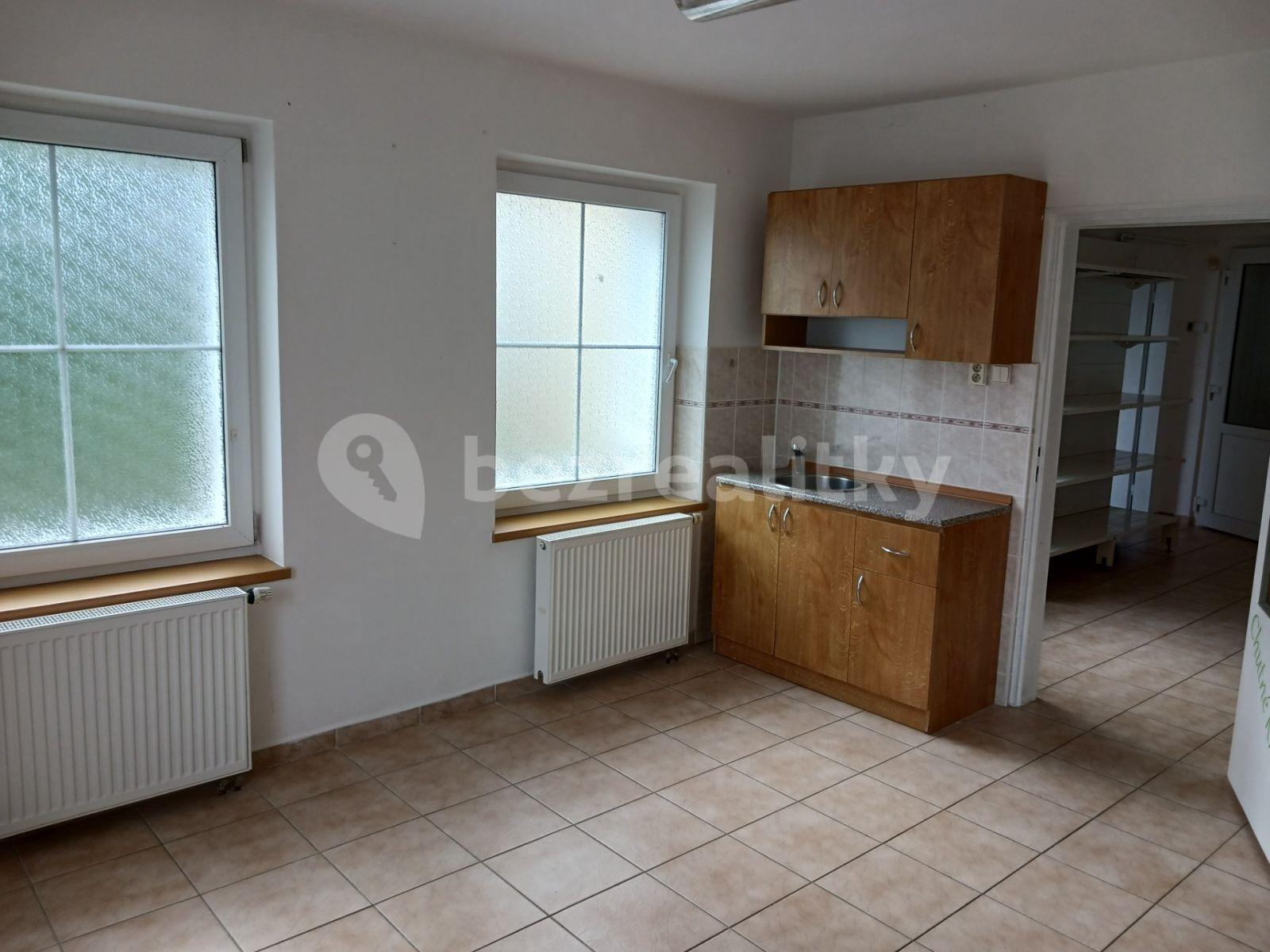 Pronájem nebytového prostoru 125 m², Bohosudovská, Krupka, Ústecký kraj