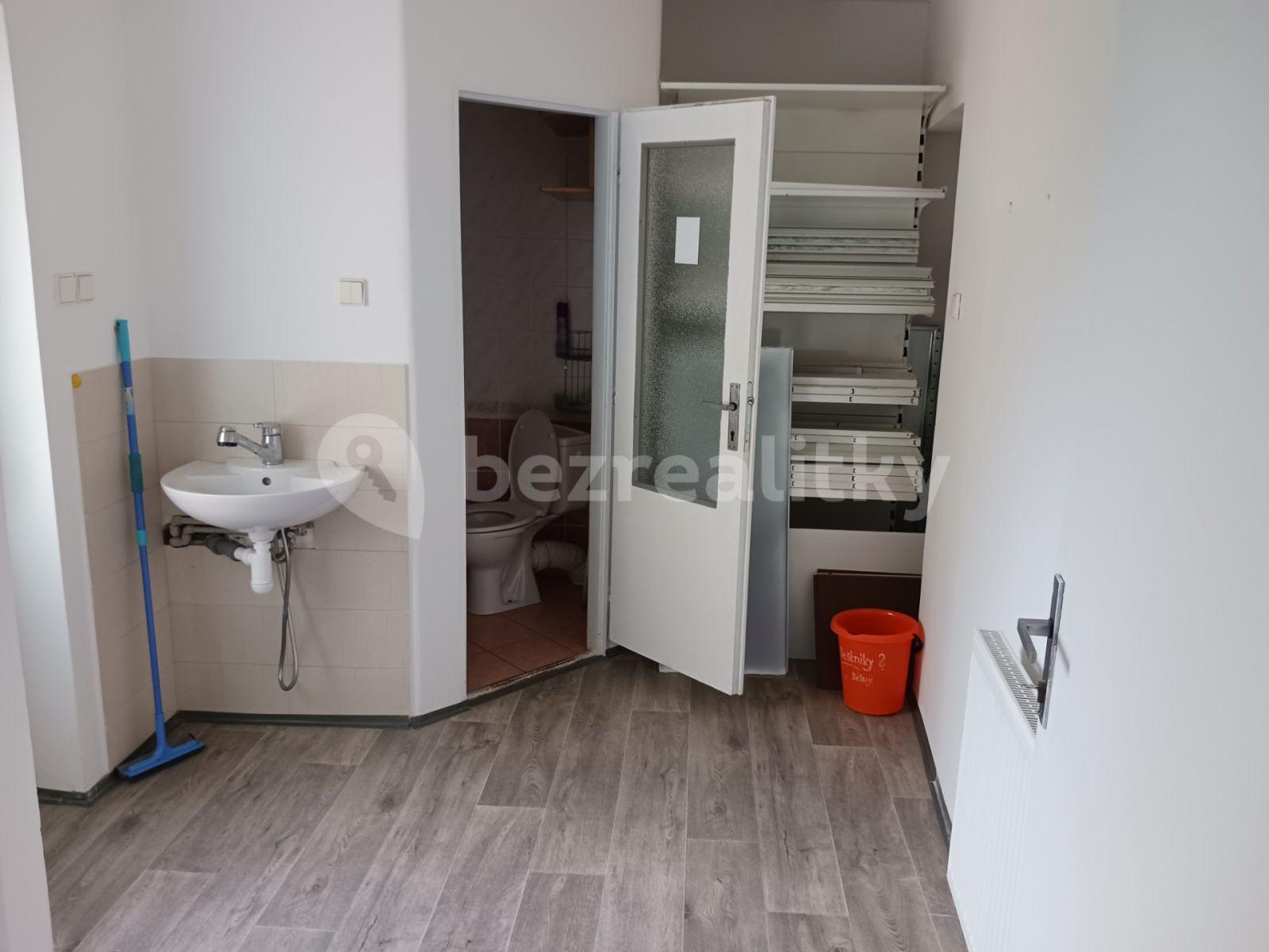 Pronájem nebytového prostoru 125 m², Bohosudovská, Krupka, Ústecký kraj