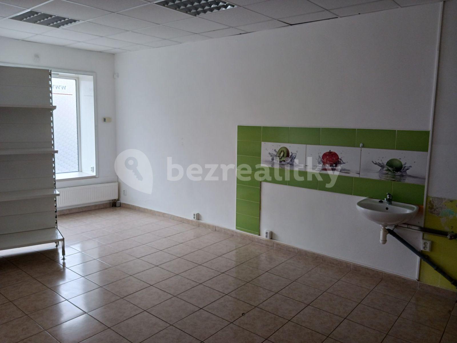 Pronájem nebytového prostoru 125 m², Bohosudovská, Krupka, Ústecký kraj