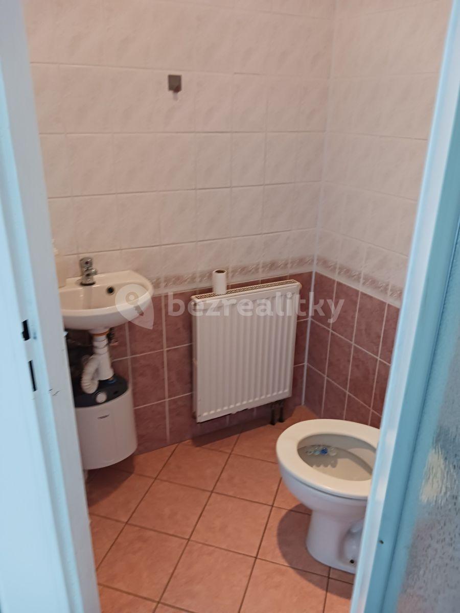 Pronájem nebytového prostoru 125 m², Bohosudovská, Krupka, Ústecký kraj