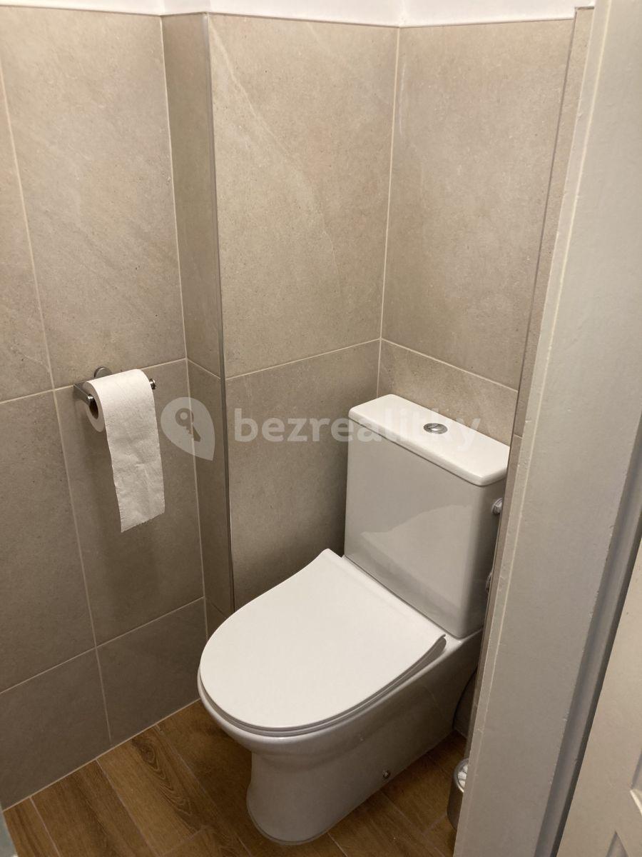 Pronájem bytu 1+1 43 m², Drahobejlova, Praha, Praha