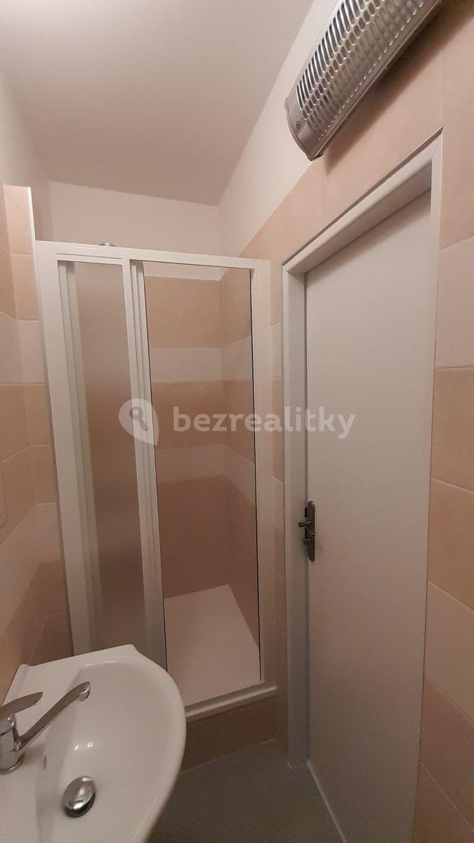 Pronájem bytu 1+1 34 m², Francouzská, Praha, Praha