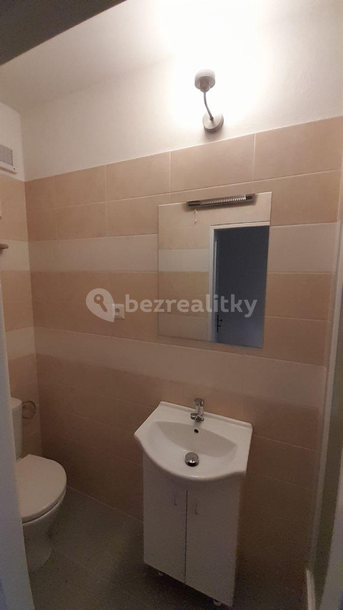 Pronájem bytu 1+1 34 m², Francouzská, Praha, Praha