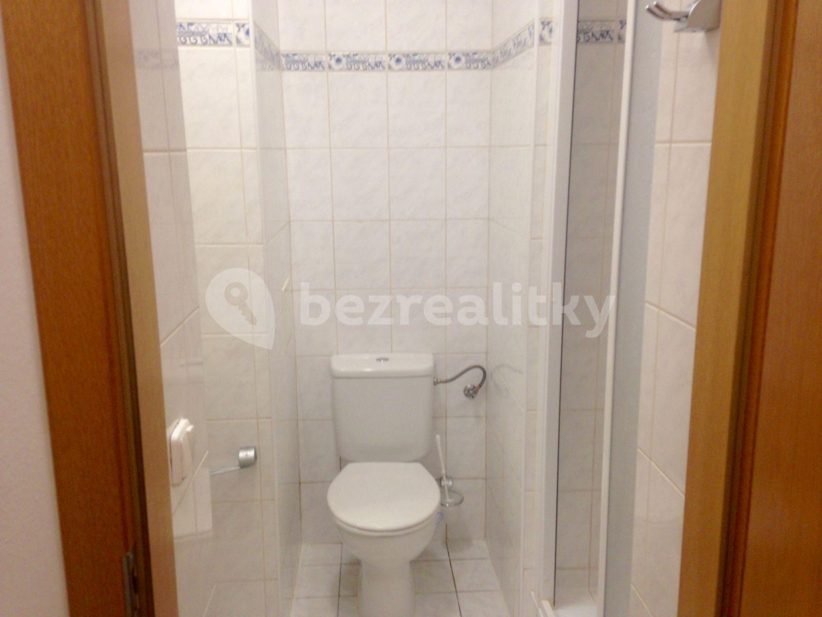 Pronájem bytu 1+kk 20 m², Levá, Praha, Praha