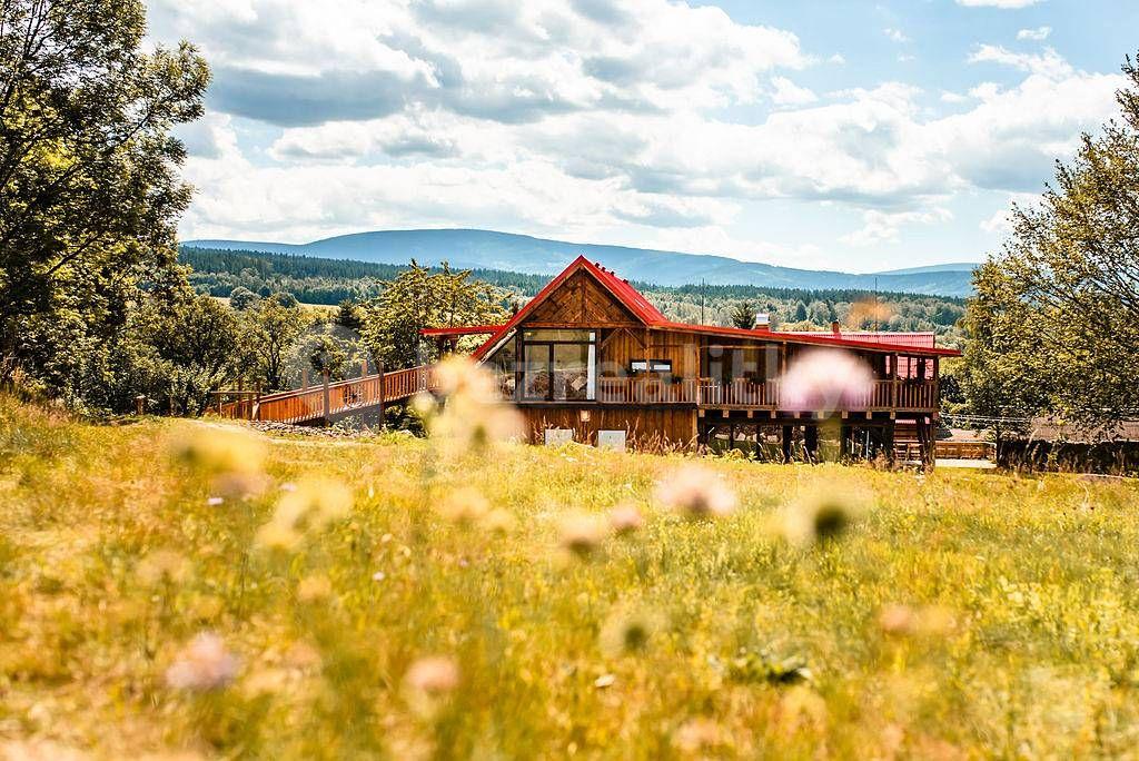 Pronájem chaty, chalupy, Horní Řasnice, Liberecký kraj