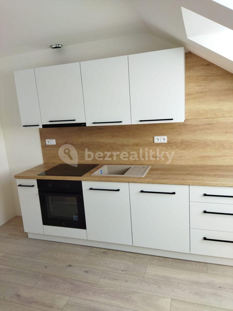 Pronájem bytu 1+1 45 m², 28. října, Ostrava, Moravskoslezský kraj