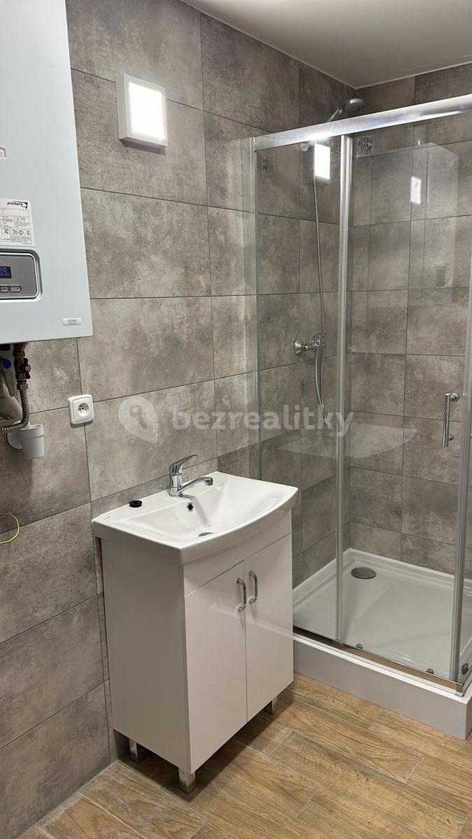 Pronájem bytu 1+1 45 m², 28. října, Ostrava, Moravskoslezský kraj