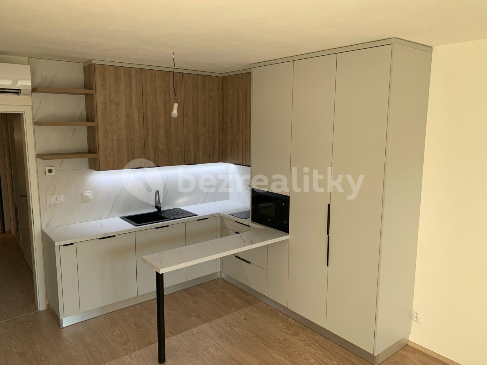 Pronájem bytu 1+kk 32 m², Bratislavská, Brno, Jihomoravský kraj