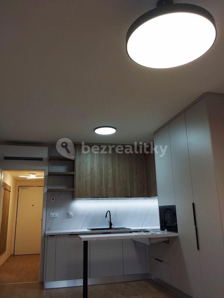 Pronájem bytu 1+kk 32 m², Bratislavská, Brno, Jihomoravský kraj