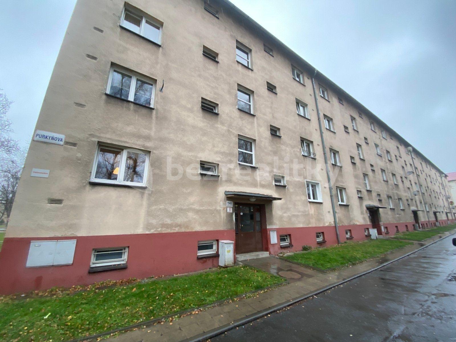 Pronájem bytu 2+1 47 m², Purkyňova, Karviná, Moravskoslezský kraj