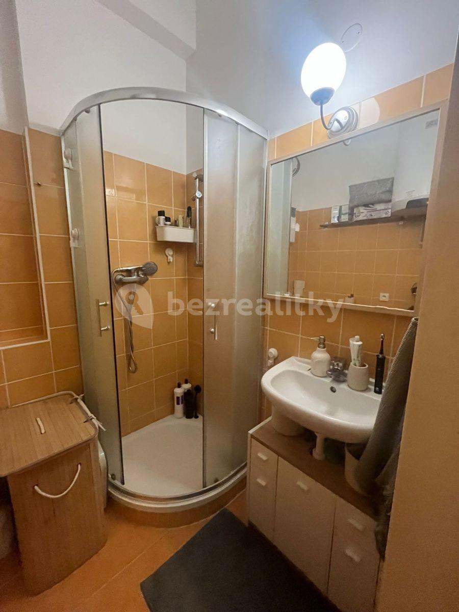 Pronájem bytu 1+kk 28 m², Křehlíkova, Brno, Jihomoravský kraj