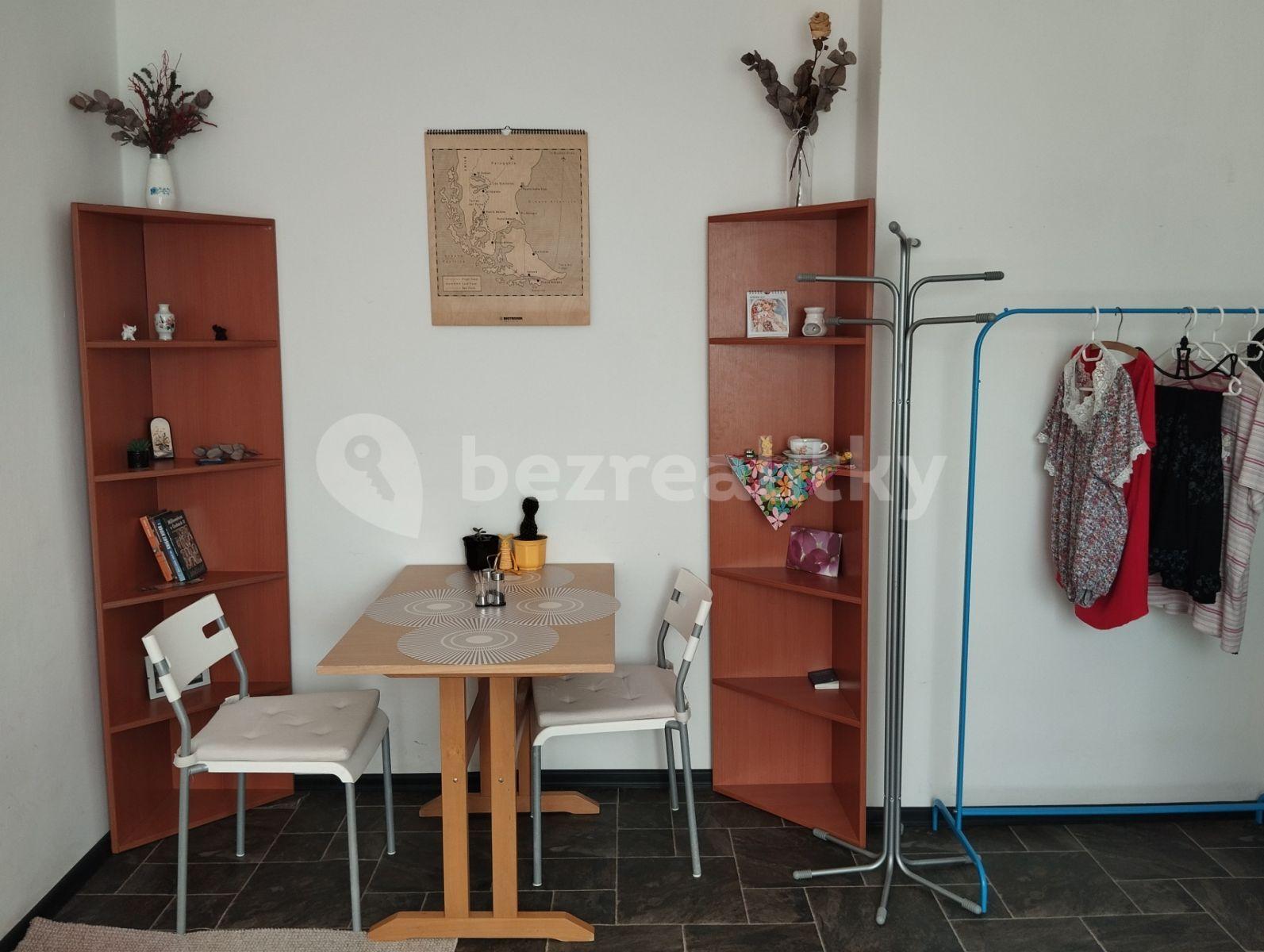 Pronájem bytu 1+kk 26 m², Slezská, Svitavy, Pardubický kraj