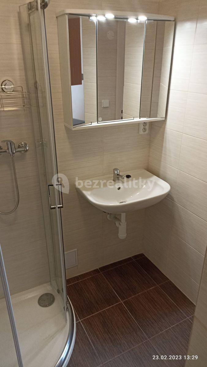 Pronájem bytu 1+kk 25 m², Pastrnkova, Brno, Jihomoravský kraj