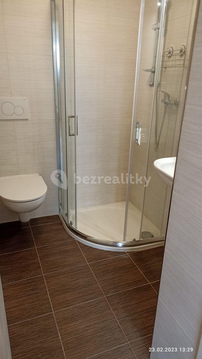 Pronájem bytu 1+kk 25 m², Pastrnkova, Brno, Jihomoravský kraj