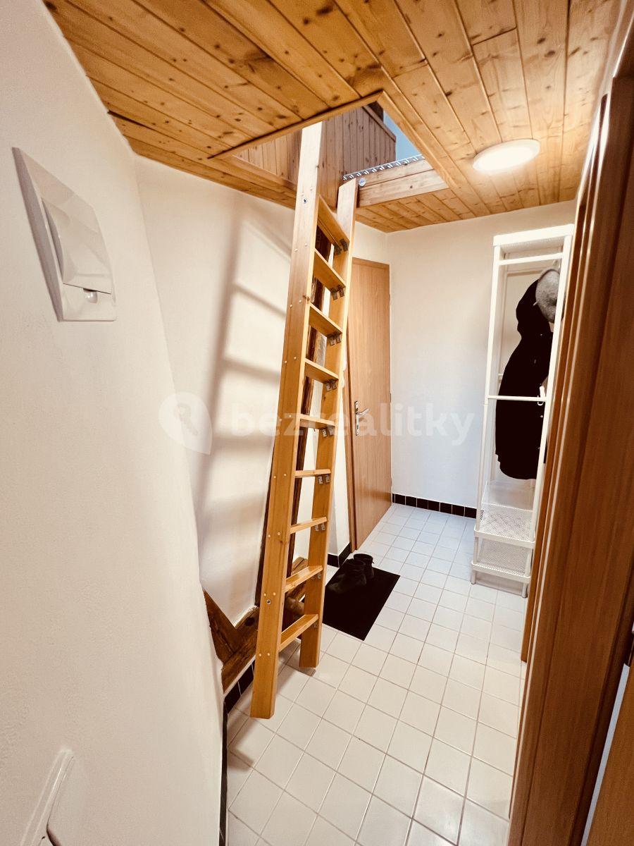 Pronájem bytu 1+kk 35 m², Vídeňská, Brno, Jihomoravský kraj