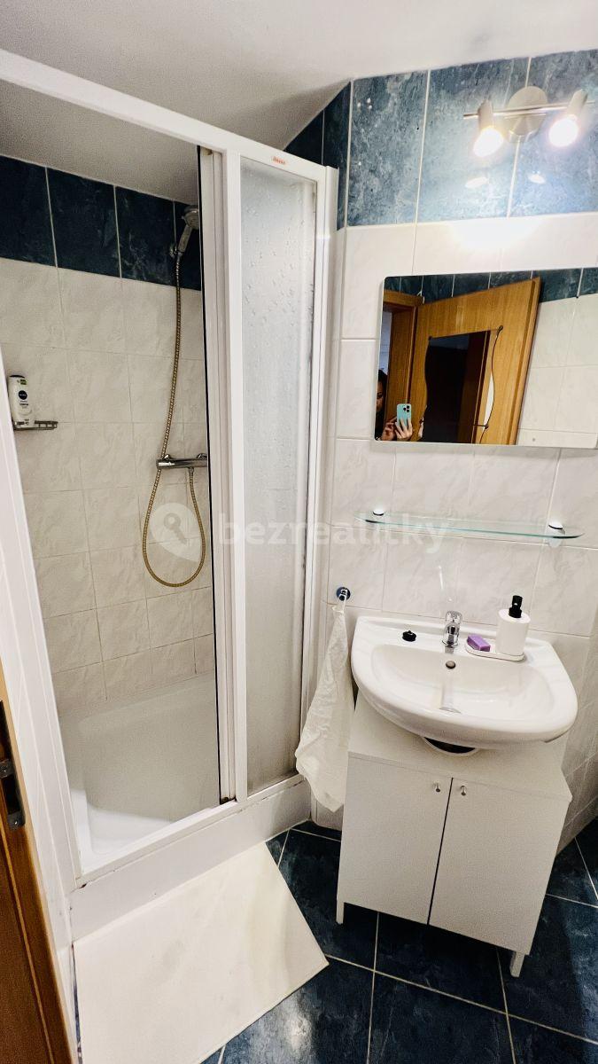 Pronájem bytu 1+kk 35 m², Vídeňská, Brno, Jihomoravský kraj