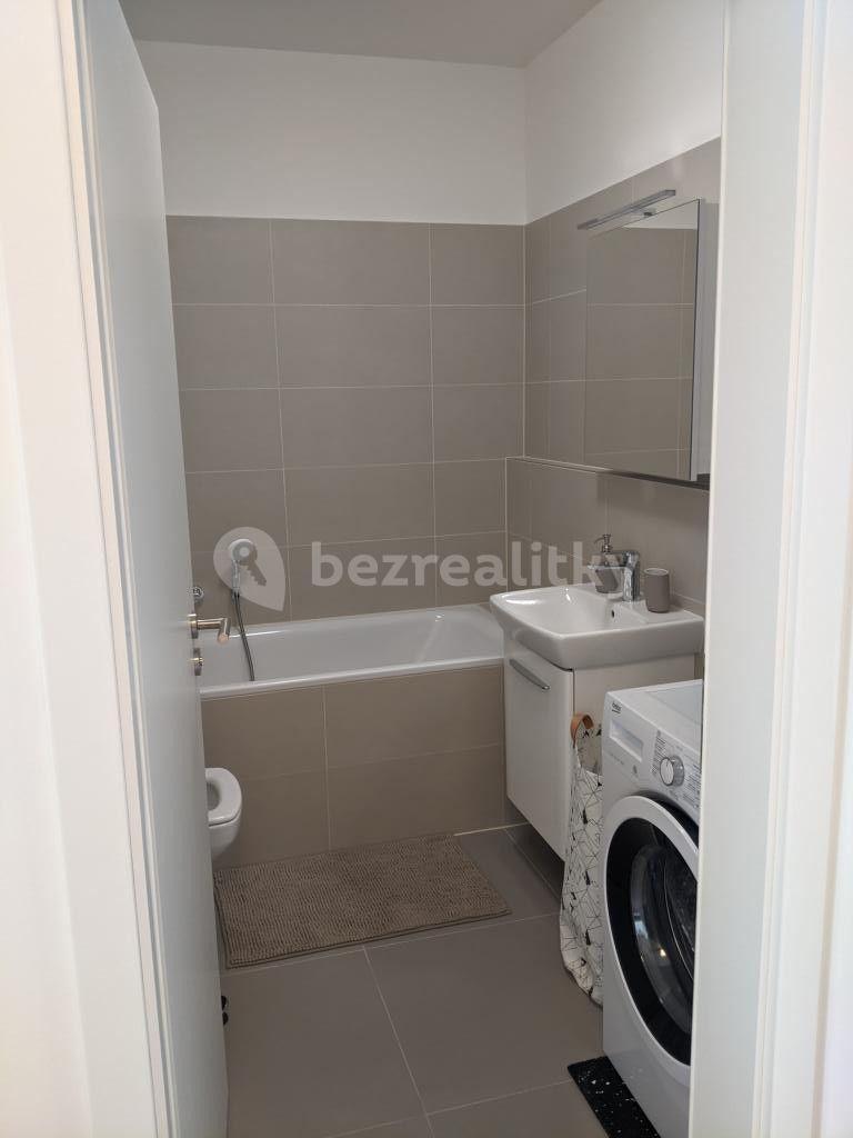 Pronájem bytu 2+kk 50 m², Plotní, Brno, Jihomoravský kraj