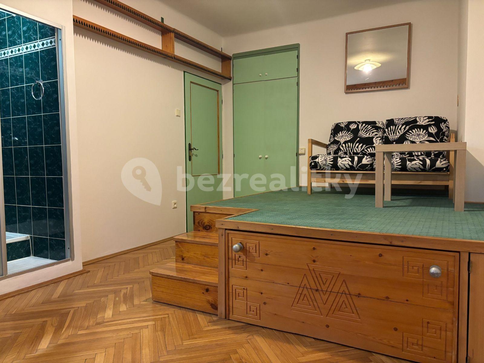 Pronájem bytu Garsoniéra 21 m², U Slavie, Praha, Praha