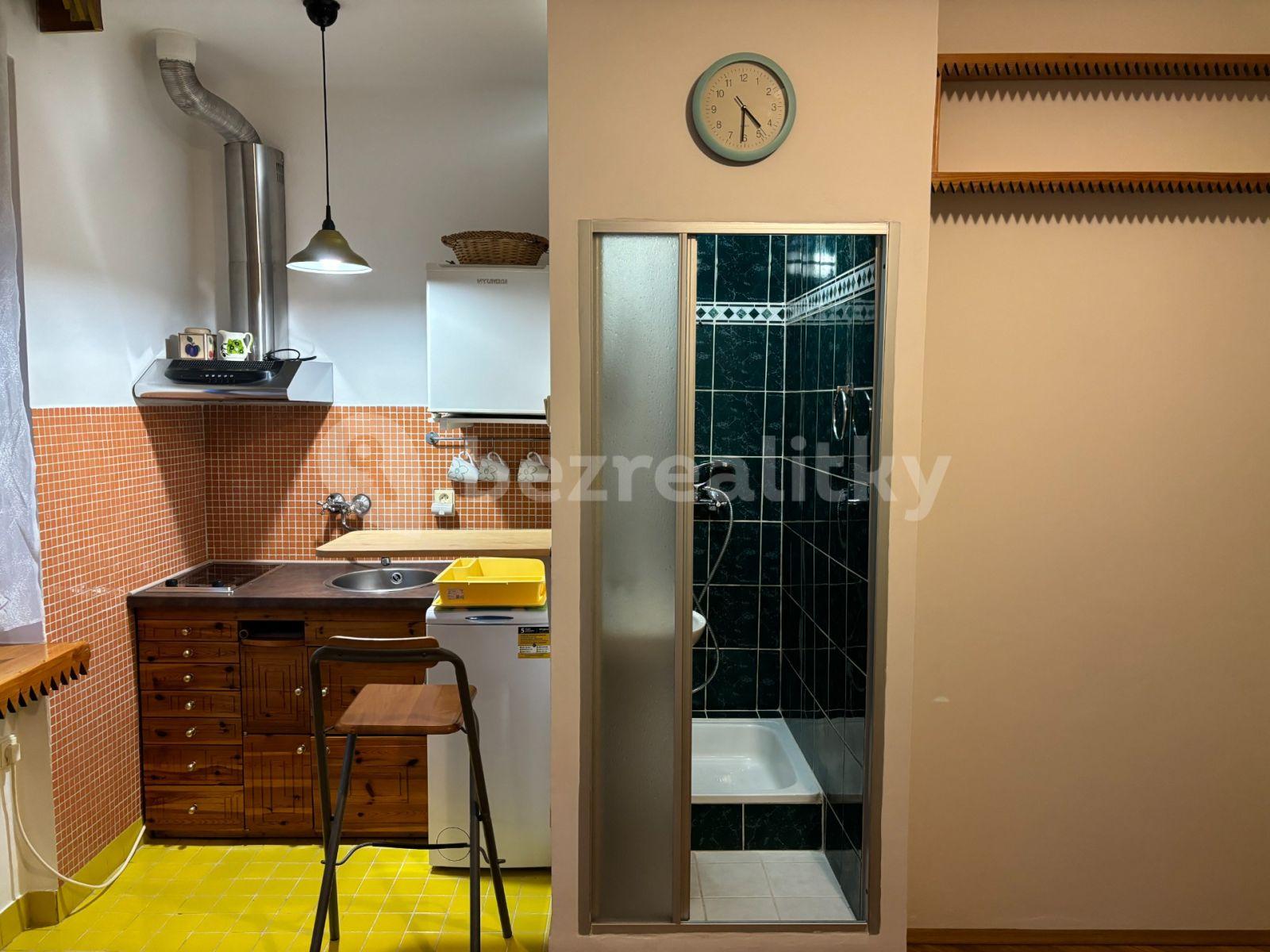 Pronájem bytu Garsoniéra 21 m², U Slavie, Praha, Praha