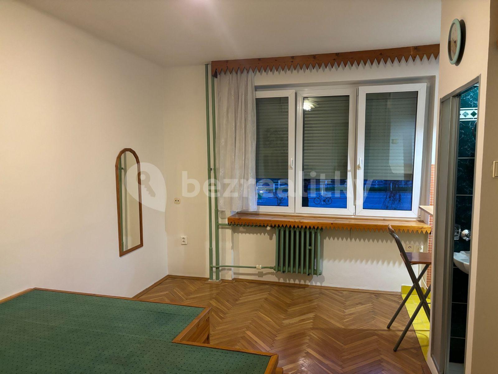 Pronájem bytu Garsoniéra 21 m², U Slavie, Praha, Praha