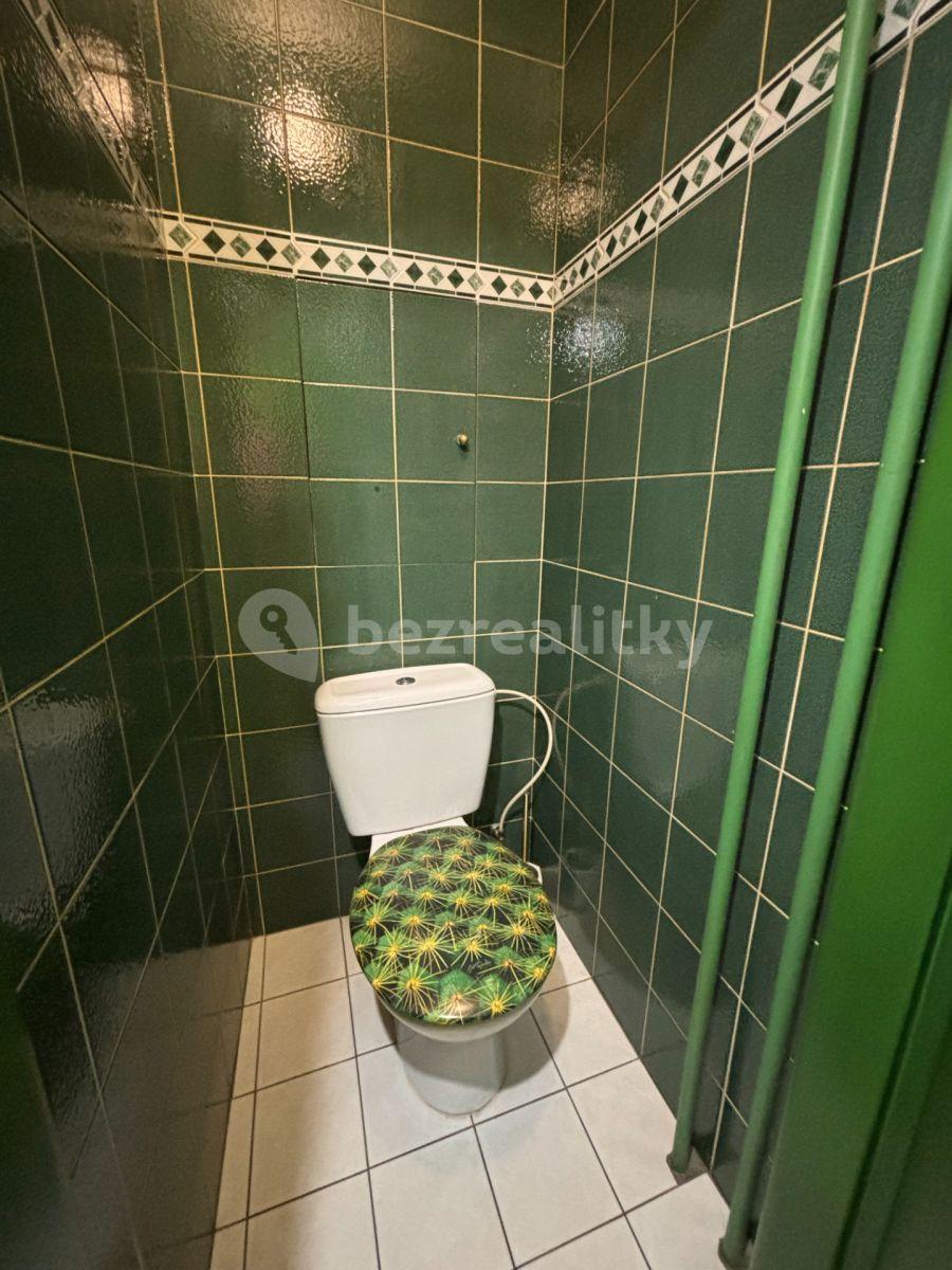 Pronájem bytu Garsoniéra 21 m², U Slavie, Praha, Praha