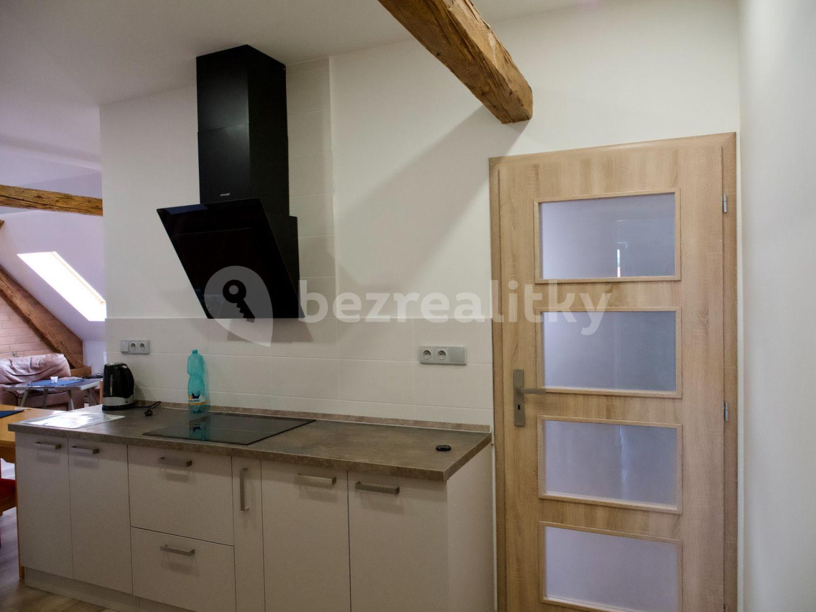 Pronájem bytu 3+kk 80 m², Purkyňova, Brno, Jihomoravský kraj