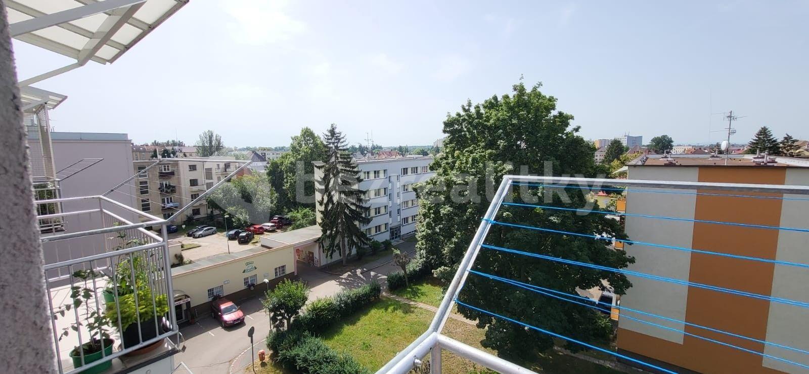 Prodej bytu 2+1 75 m², Gočárova třída, Hradec Králové, Královéhradecký kraj