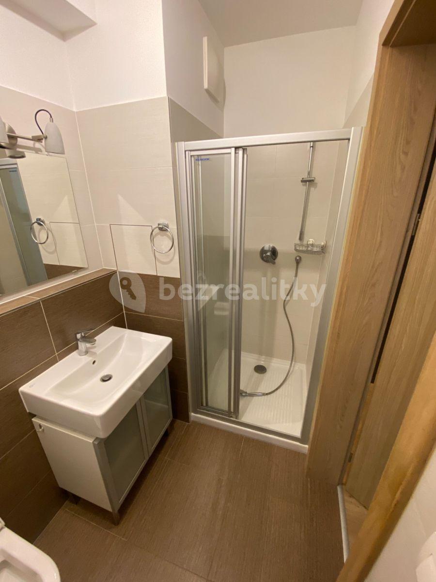 Pronájem bytu Garsoniéra 35 m², Nad Úžlabinou, Praha, Praha