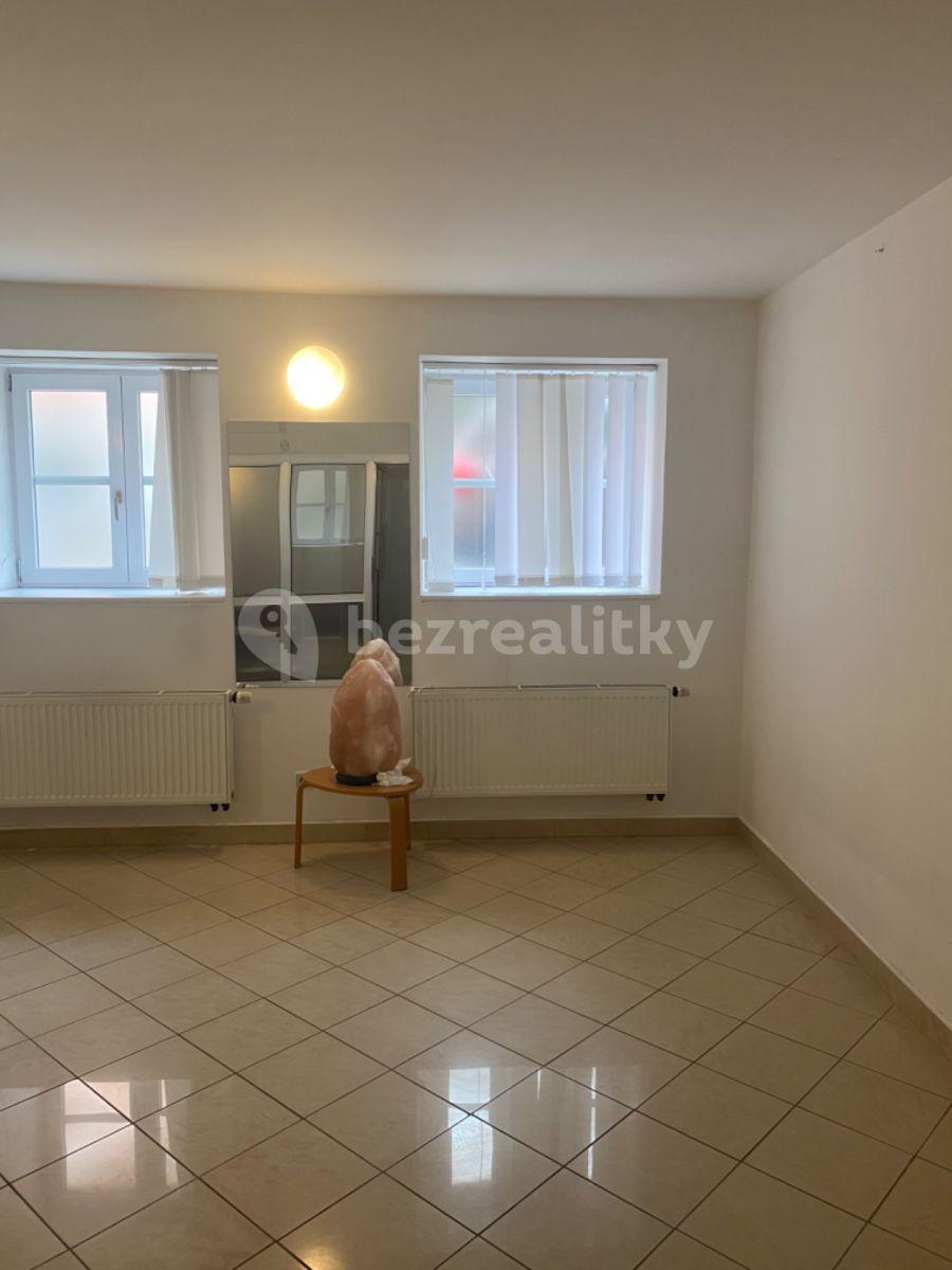 Pronájem nebytového prostoru 133 m², Pod Dvorem, Praha, Praha