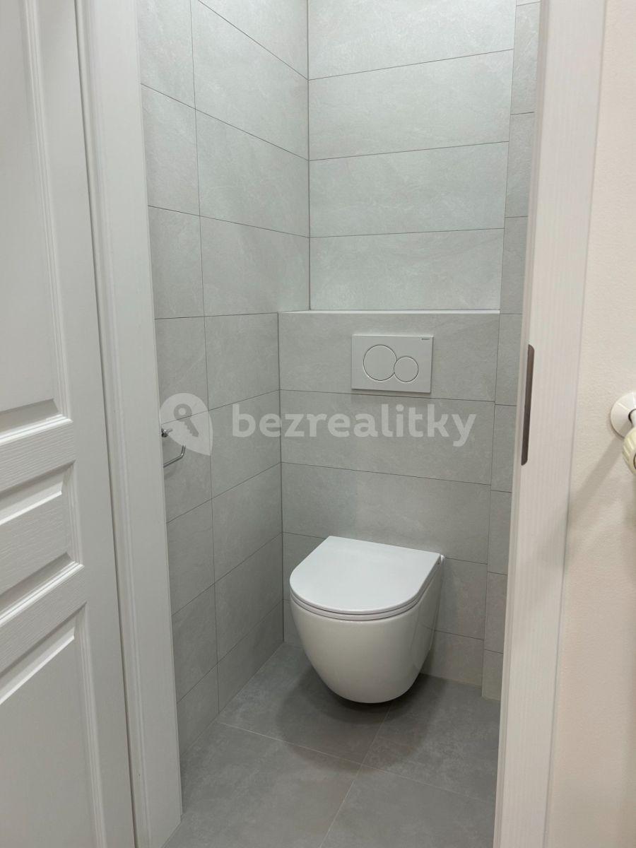 Pronájem bytu 2+1 57 m², Baranova, Praha, Praha