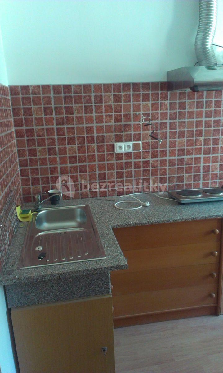 Pronájem bytu 1+kk 20 m², Dělnická, Praha, Praha