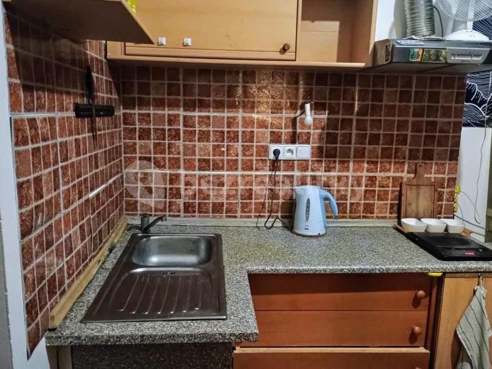 Pronájem bytu 1+kk 20 m², Dělnická, Praha, Praha