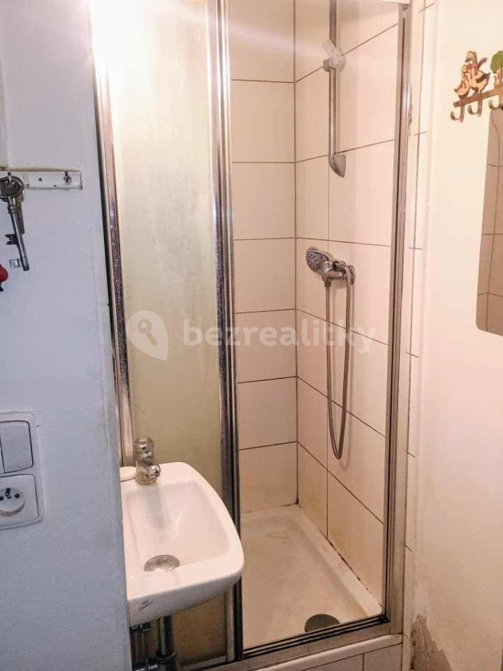 Pronájem bytu 1+kk 20 m², Dělnická, Praha, Praha