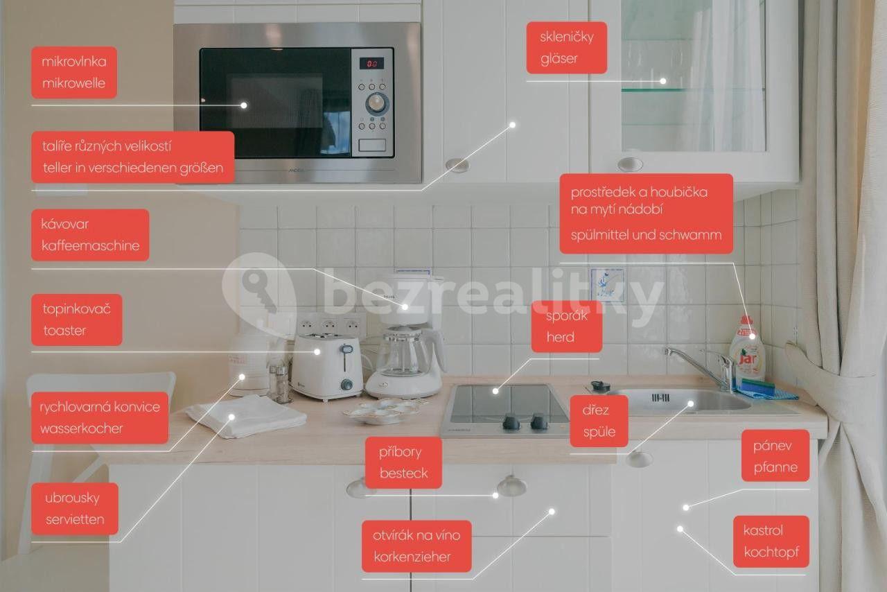 Pronájem bytu 1+kk 20 m², Nuselská, Praha, Praha