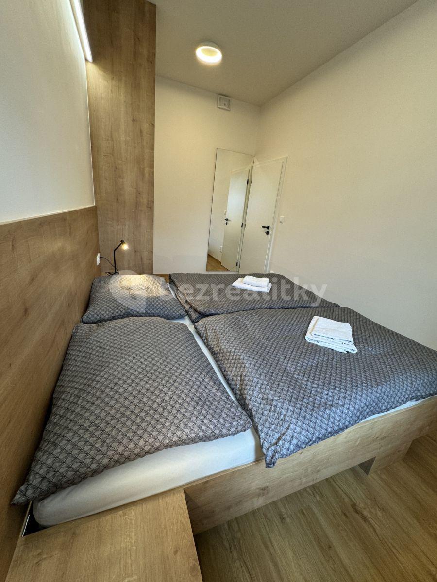 Pronájem bytu 2+1 46 m², Tišnovská, Brno, Jihomoravský kraj