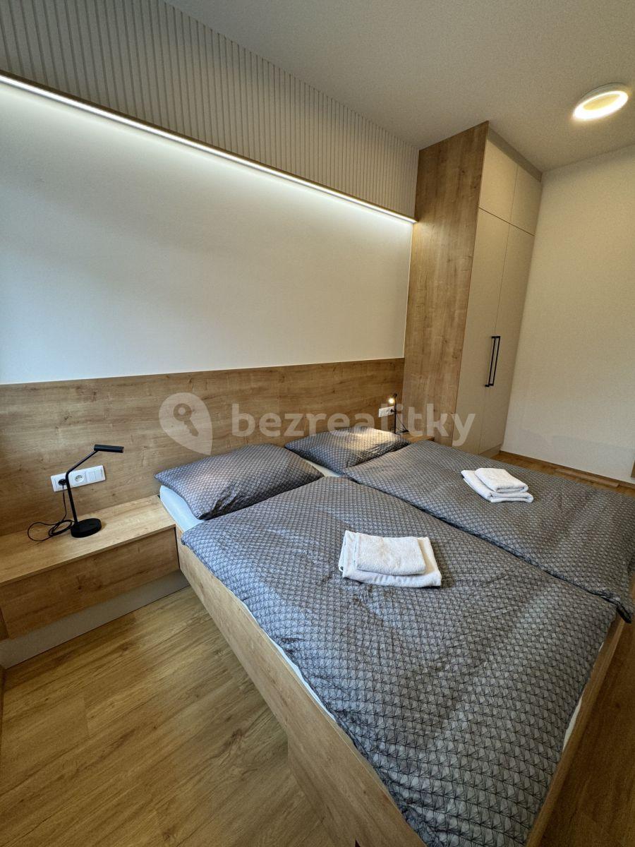 Pronájem bytu 2+1 46 m², Tišnovská, Brno, Jihomoravský kraj