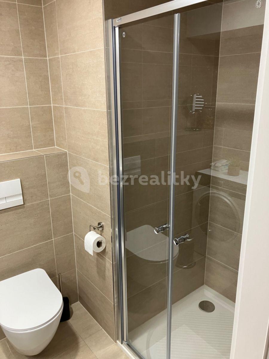 Pronájem bytu 2+kk 30 m², Plzeňská, Praha, Praha